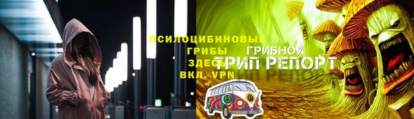 хмурый Белокуриха