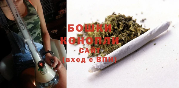 ALPHA PVP Беломорск
