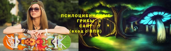 дурь Сосновка
