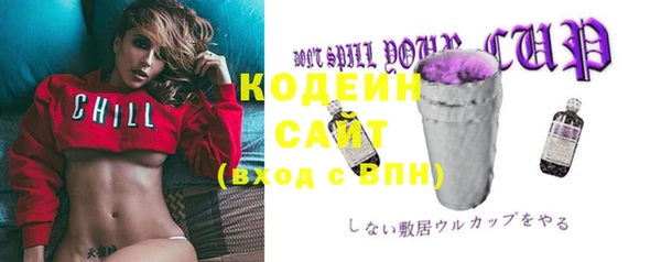 хмурый Белокуриха