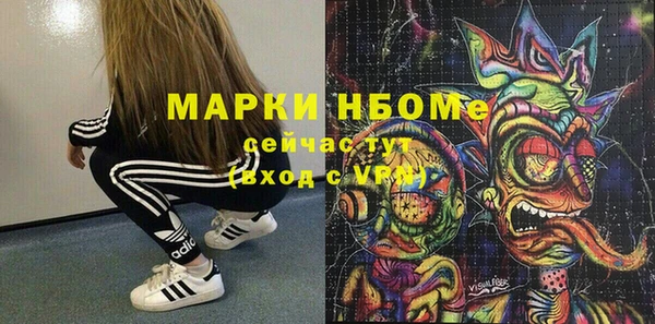 хмурый Белокуриха