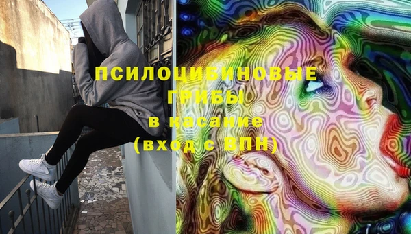 хмурый Белокуриха
