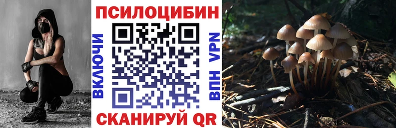 Галлюциногенные грибы MAGIC MUSHROOMS  Верхняя Тура 